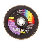 ЛУГА 18120л Диск лепестковый по металлу Р120 180х22мм (5/40)---