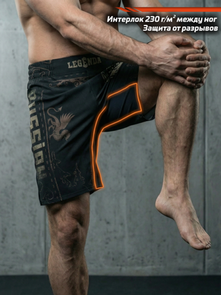 Шорты спортивные тренировочные LEGENDA Горыныч
