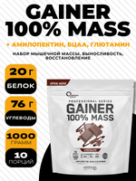 100% Mass Gainer