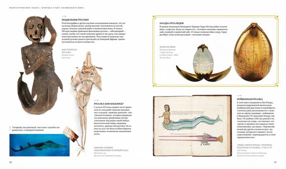 Фантастические твари. Природа чудес волшебного мира (Гарри Поттер)