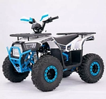 Квадроцикл YACOTA SIRIUS 110