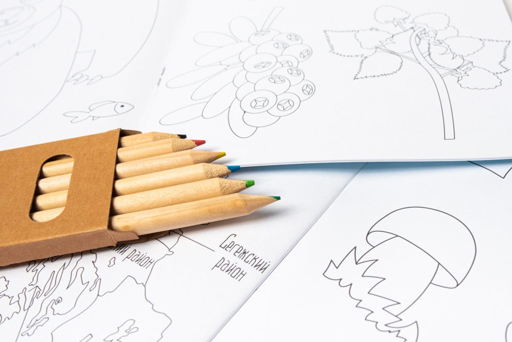 Раскраска с карандашами «Раскрась Карелию»