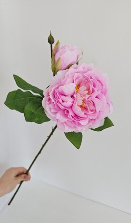 Пион / Арт 2225