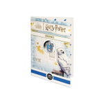 France 10 Euro 2022 "Harry Potter - Serdaigle"