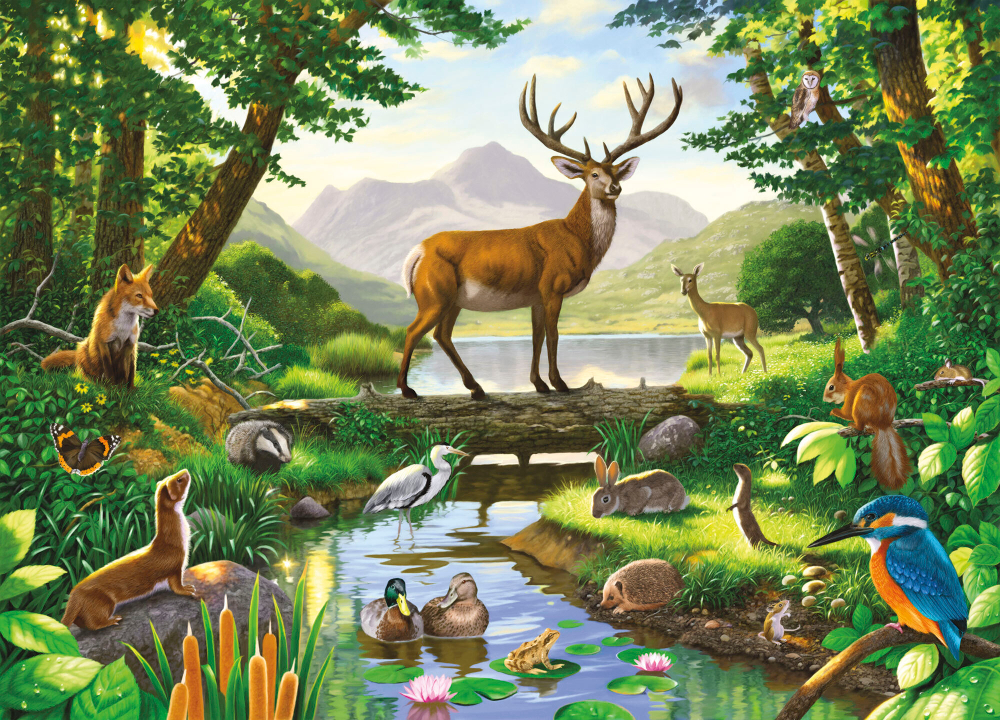 Коллекция Животные