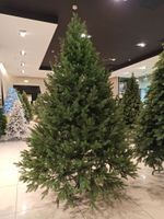 Искусственная ель «Берген» (Литая хвоя) 240 см / 2.4 м