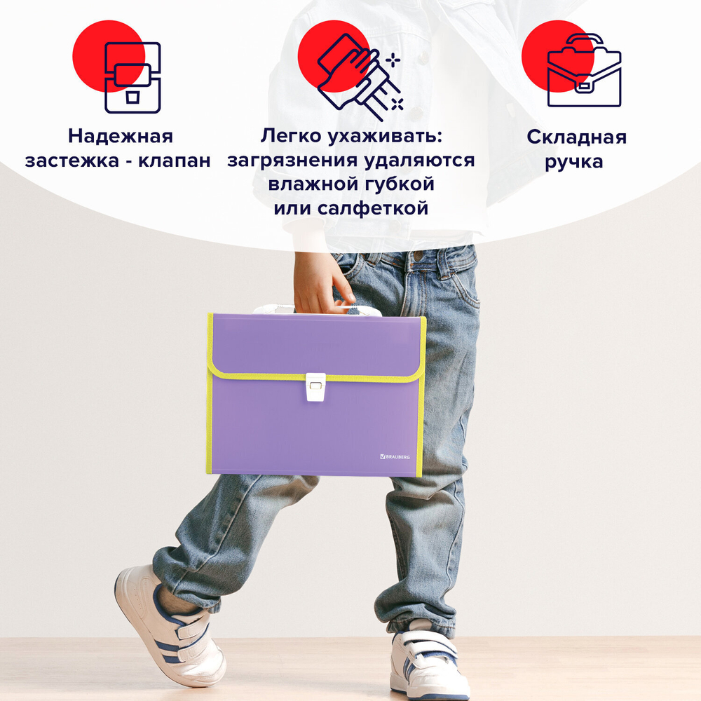 Папка-портфель пластиковая BRAUBERG "JOY" А4 (330х245х35 мм) 13 отделений с окантовкой фиолетовая (2 штуки в упаковке)