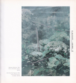 Галерея современного искусства Д137. Каталог 1996-2006 гг.