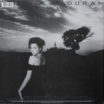 Duran Duran / Notorious (LP)