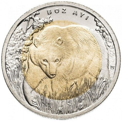 Бурый медведь