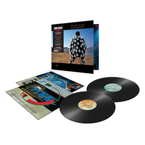 Pink Floyd / Delicate Sound Of Thunder (2LP)