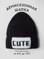 Шапка детская на осень бини