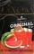 GIXOM (ГИКСОМ) - Ice Tea Watermelon 50гр.