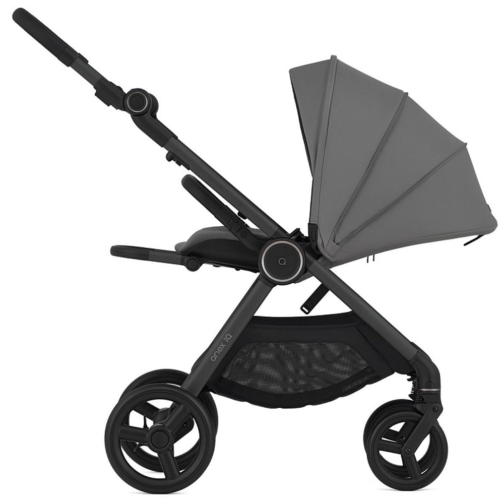 Детская коляска Anex iQ Basic NT 2 в 1 Lune