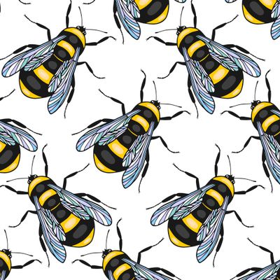 Bumblebee insect seamless pattern and rose flowers.