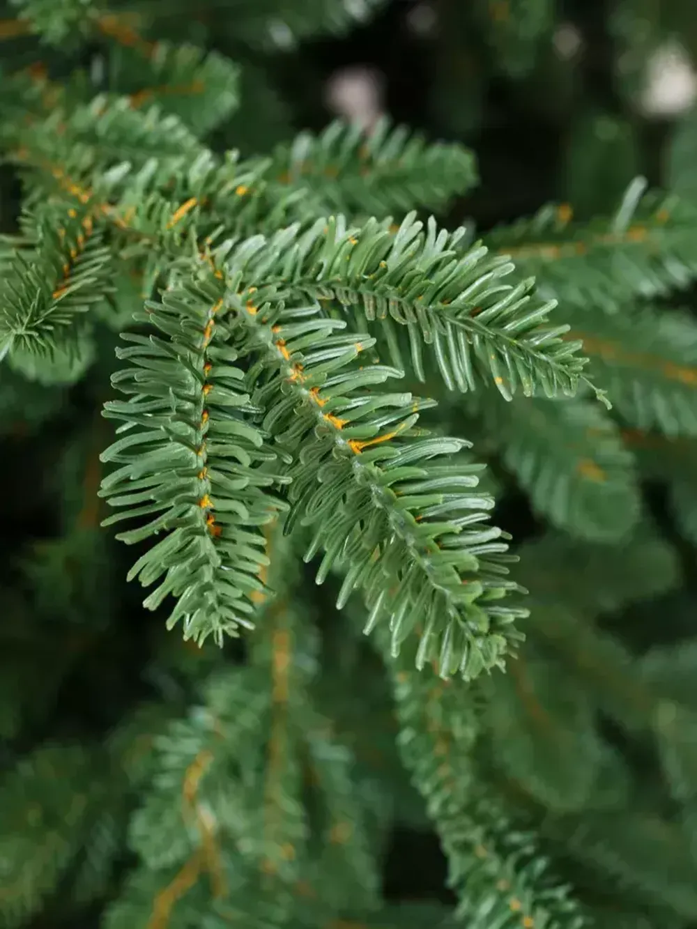 Искусственная ёлка «Монтерей» (Литая хвоя) 240 см / 2.4 м