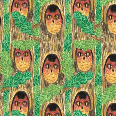 лесная чаща сова