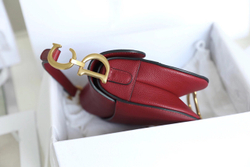 Christian Dior Saddle Bag 21 cm