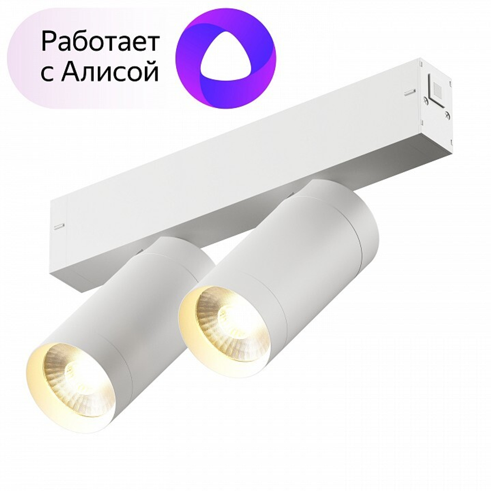 Трековый светильник Denkirs DK8012-WH