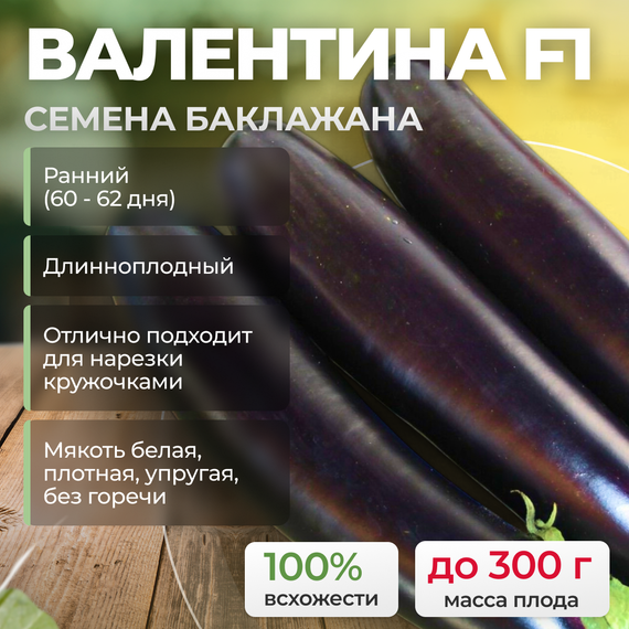 ВАЛЕНТИНА F1 семена баклажана (Seminis | Alexagro) продукция