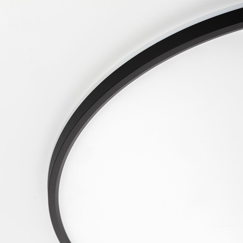 Citilux NORMA CL749601 LED RGB Светильник с пультом Чёрный