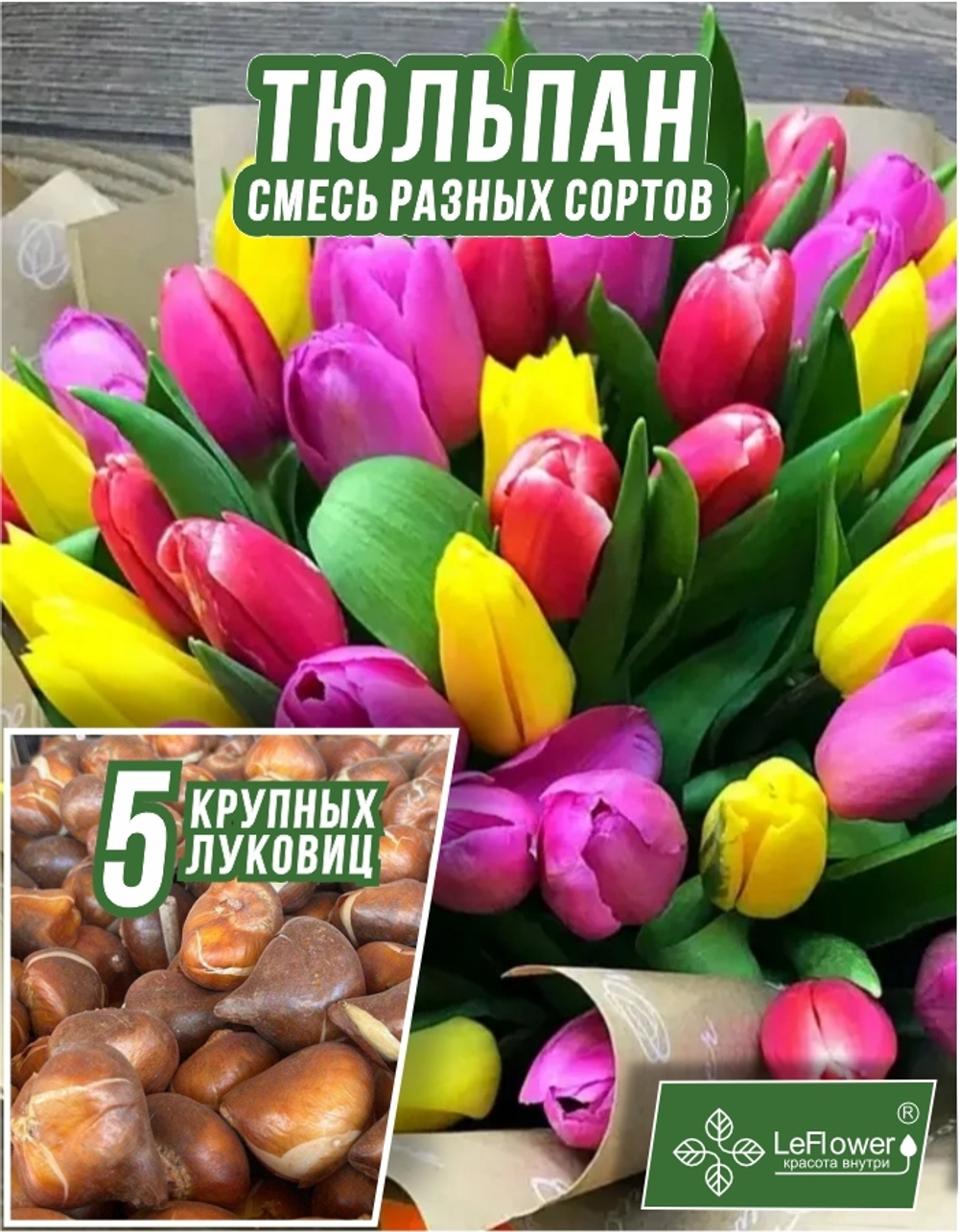 Тюльпан Луковица, Микс сортов 5 шт, крупные