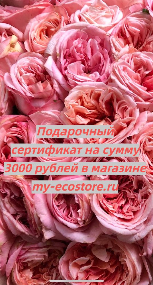 Подарочный сертификат на сумму 3000 рублей