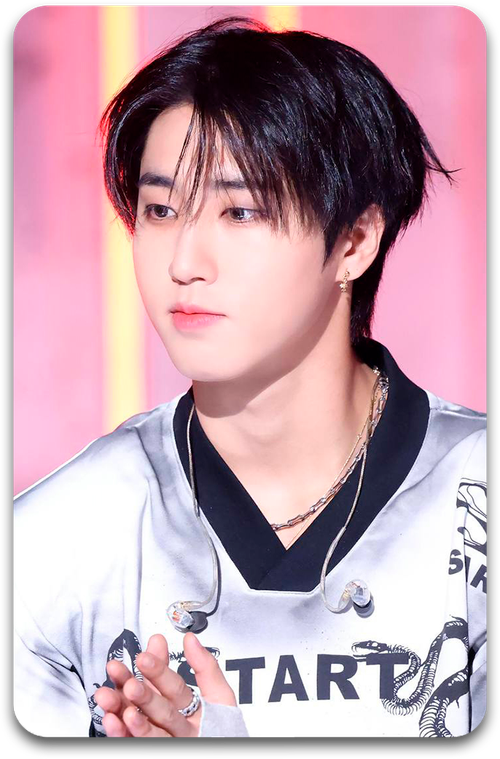 Карта / STRAY KIDS #4391