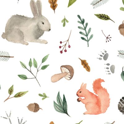 Зайчики и белки в лесу