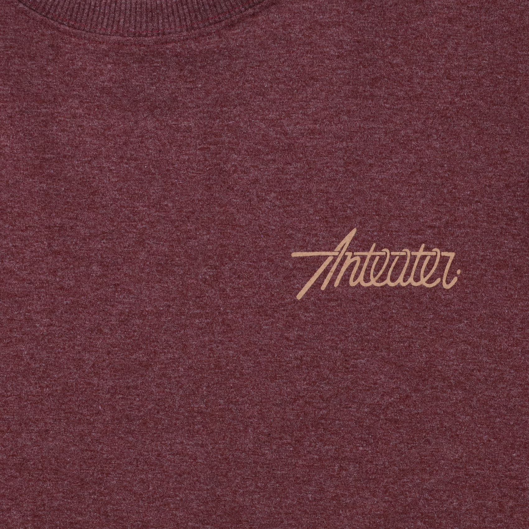 Лонгслив Anteater Phat Long104 (bordo) артикул: - купить в магазине Дайс