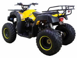 Квадроцикл ATV Classic 200