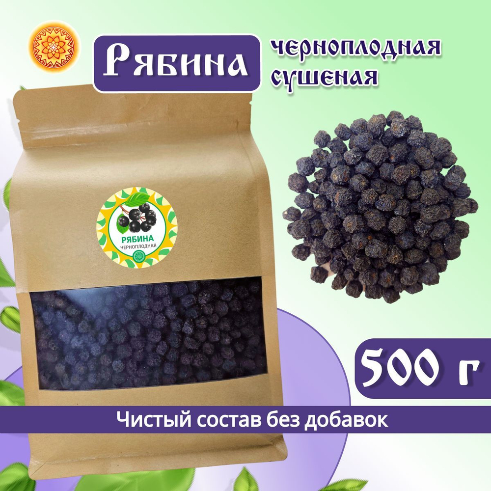 Рябина черноплодная.