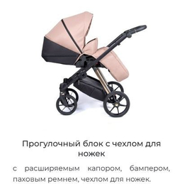 Коляска детская Coletto Axiss 2 в 1