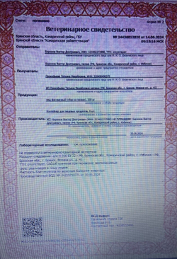 Мёд Цветочный Майский, натуральный 2024 с пасеки Брянского края ,1 литр (1,4 кг)