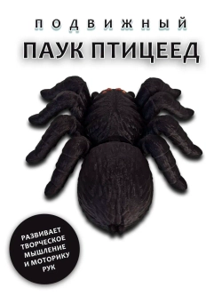 Паук