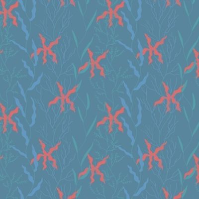 Морские звезды