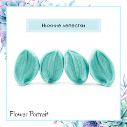 Орхидея Фаленопсис М