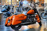 Harley-Davidson® Road King Special®
