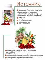Живица кедровая на облепиховом масле 240 капсул