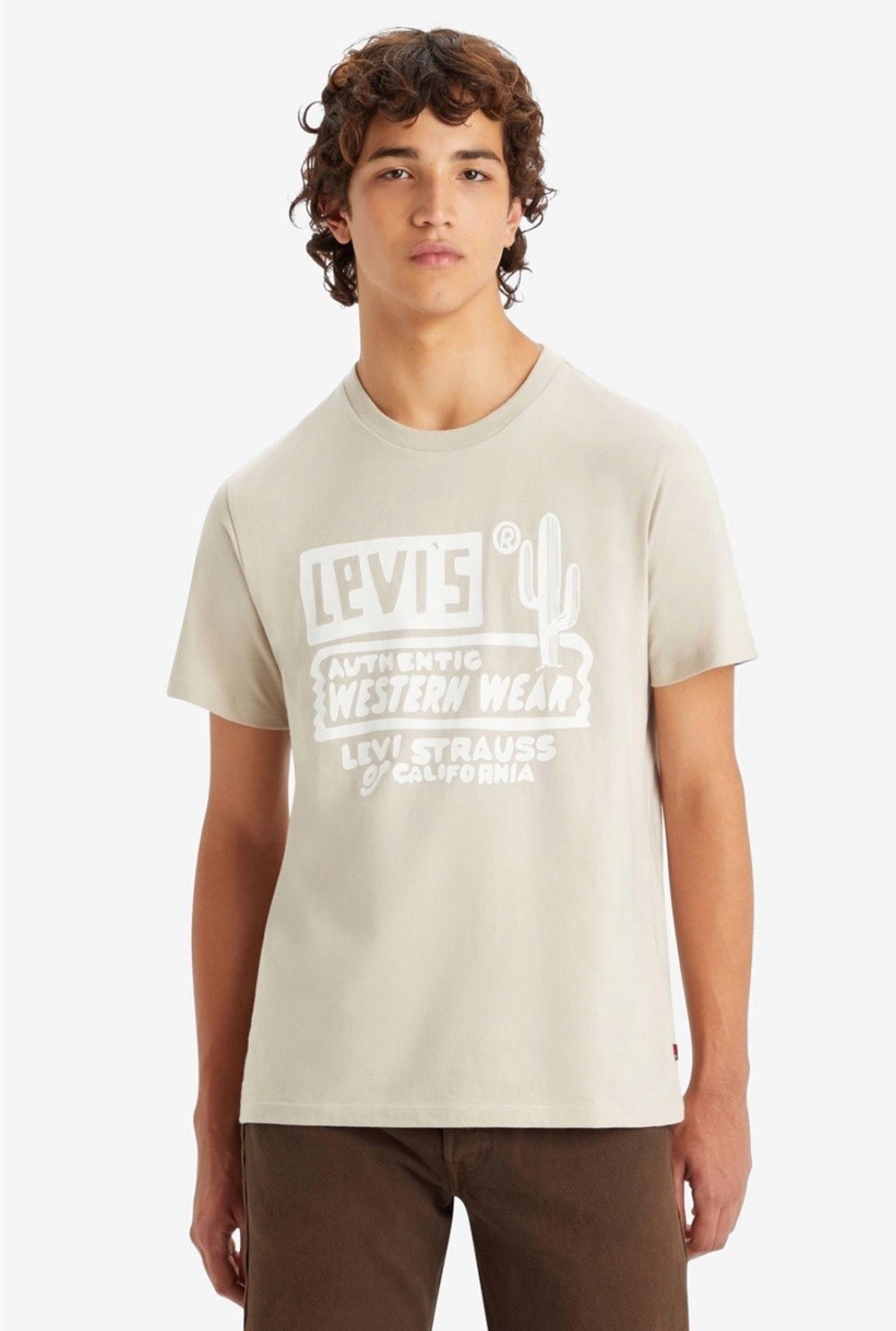 Футболка мужская LEVI'S GRAPHIC CREWNECK TEE WHITES