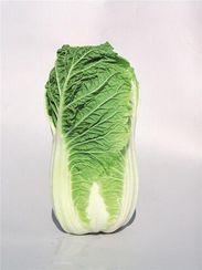 МИРАКО F1 семена капусты пекинской (Bejo | Alexagro)