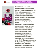 Петуния Превосходнейшая F1 Смесь