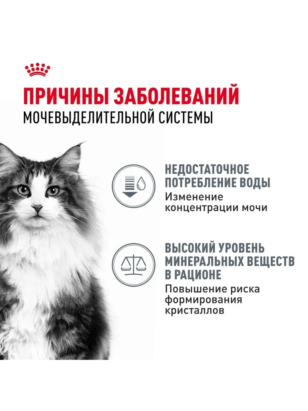 Влажный корм для кошек, в соусе 28х85гр