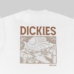  Футболка мужская Dickies Patrick Springs Tee артикул:DK0A4YR7WHX1 - купить в магазине Дайс
