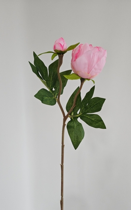 Бутон пиона / Арт 2463