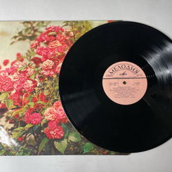 Винтажная виниловая пластинка LP Веселые Ребята, Дружить Нам Надо (СССР 1978)