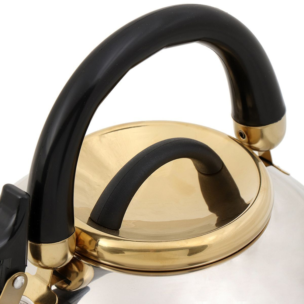 Чайник нерж, 3 л, свист, ручк бакелит, с силик покр, Daniks, Мадрид Голд, индукц, M-001PM