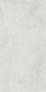 Керамогранит Ideal GT1206020506LGR светло-серый 60x120