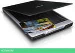 Сканер Epson Perfection V19 (B11B231401)