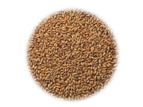 Солод Stamag Munich (Мюнхенский)